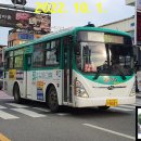 대천공판장뒤 이미지