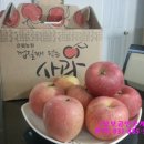 성보농원 이미지