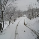 서림농원 이미지