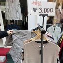 맘스터치대전 이미지