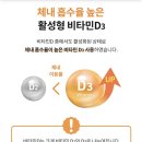 메가비타민