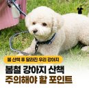 영주동물병원 이미지
