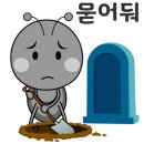 태아일체 다온태권도장 이미지