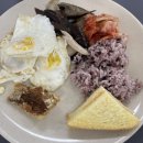 함바식당 - 서귀포시 대정읍 | 함바식당