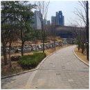 체리샵공인중개사사무소 | 오포더샵 사랑받는 부동산, 오포더샵선한공인중개사