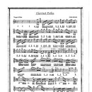 Polish melody / Clarinet polka 이미지