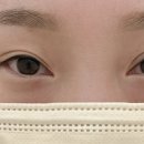 더그린아이래쉬 네이버블로그