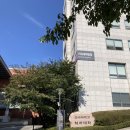 파머스마켓 산정점 | 재신경치료, 연세대학교 세브란스 치과대학병원