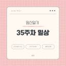 라라산부인과의원 | 35주차 증상 (판교조아산부인과 역아/입체초음파...프레 직구, 휴직시작, 라라매트 시공, 몸무게 +12.3...