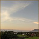 미래로메디칼 이미지