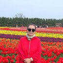 오늘도예쁘게 이미지