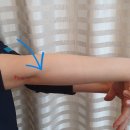 세천아침한의원 이미지