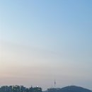 해가쭈꾸미