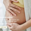 슈가멜로우 이미지