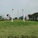 중앙 경희 태권도장 이미지