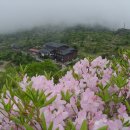 28산우회 6월 산행길 변경 (지리산 세석고원=천왕봉으로 변경) 이미지