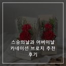 스승의날과 어버이날카네이션 브로치 추천 후기