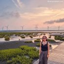 보각사 | 타이중 숙소 추천 가격대별 BEST 3, 어디서 자야 여행이 완성될까?