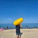 세븐일레븐 강릉금진해변점 | [강릉 해변 추천] 잔잔한 파도 &#39;금진 해변&#39; 튜브 가격 및 무료 샤워장 안내