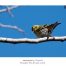 평화머리방 - 구미시 | 평화머리방