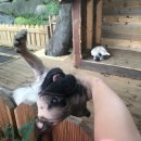 리베볼(liebevoll) 이미지