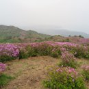 한치재주차장 Daum카페