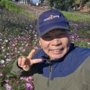 ***익산시,천만송이,국화축제,신흥공원***3, 이미지