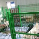 인수농장 이미지