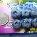 남해비엔비 이미지