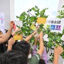 희망스포츠 경기etv뉴스