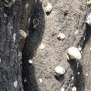 솔터농장 이미지