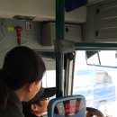 송정의원 Daum카페