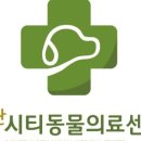 동탄시티동물의료센터