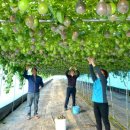 이상백농장 이미지