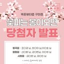 꽃피는 봄이 오면 이미지