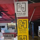 씨제이올리브영건대커먼그라운드점 | 올리브영 건대 커먼그라운드점 반려견동반 방문후기｜아리아나그란데 아리 여자향수 내돈내산