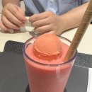 파스쿠찌정부대전