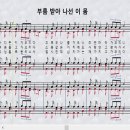 새찬송가 323장_부름 받아 사선 이 몸＜소명과 충성＞ 이미지