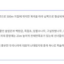 제주 천제연 난대림 이미지