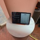 달월역 | [월곶동 맛집] 베러 스퀘어 (화덕피자, 애견 동반, 달월역 맛집)