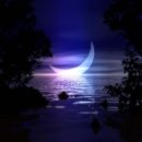 Fly Me to the Moon 이미지