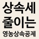안진우세무사사무소 이미지