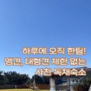 도그프리덤 이미지