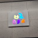 스타디자인 이미지