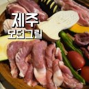 제주도그릴 - 고양시 일산동구 무궁화로 20-38 | 제주도 흑돼지 오마카세 공항근처 디너 맛집 솔직후기 안가면 손해인 모던그릴