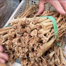 제천약초시장 이미지