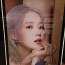 [202405] 끝까지 해볼래 포기는 안 할래