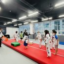 다오름태권도장 이미지