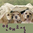 강쥐 이미지