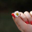 야상곡을 춤추는 오월의 발레리~~나 이미지